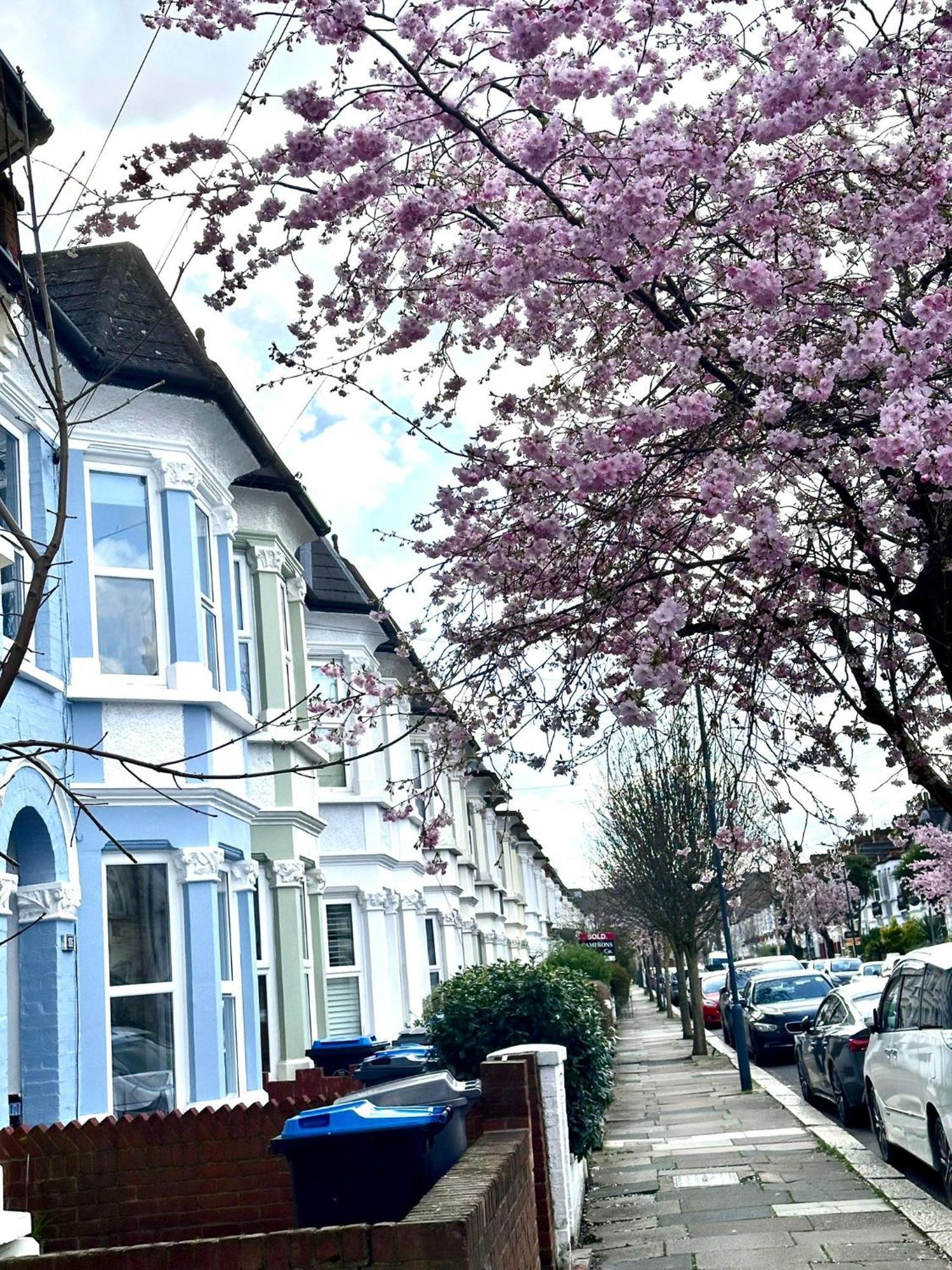 Charming, Renovated Residence In Willesden Green Λονδίνο Εξωτερικό φωτογραφία